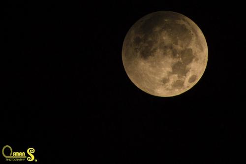 osmansezgic photographer gunes ay (22)