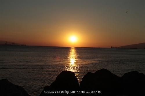 osmansezgic photographer gunes ay (6)