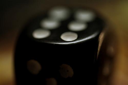 osmansezgic photographer macro (1)