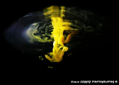 osmansezgic photographer macro (14)