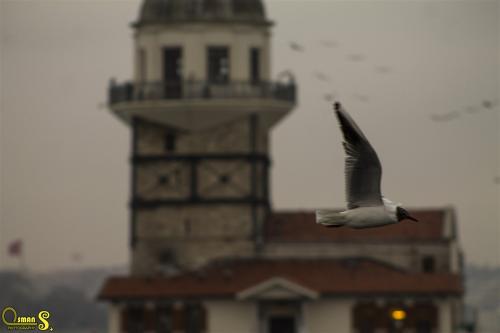 osmansezgic photographer manzara (28)