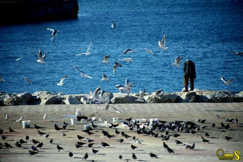 osmansezgic photography martilar(13)