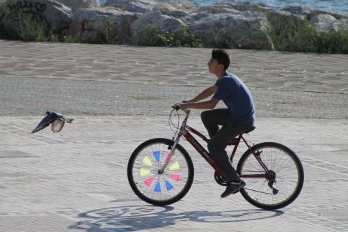 osmansezgic photography martilar(7)