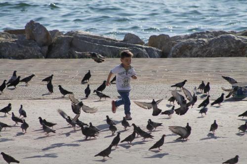 osmansezgic photography martilar(9)